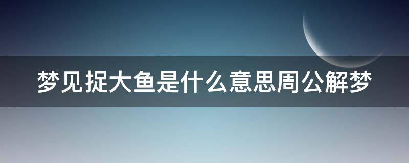 夢見捉大魚是什么意思周公解夢（夢見自己用手捉到大魚）