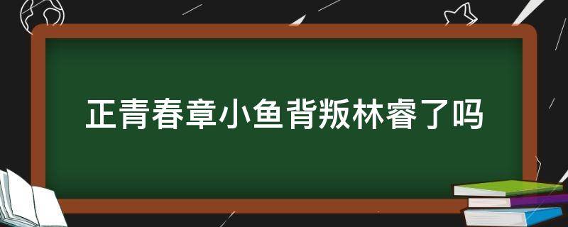 正青春章小魚(yú)背叛林睿了嗎（正青春林睿章小魚(yú)反目）