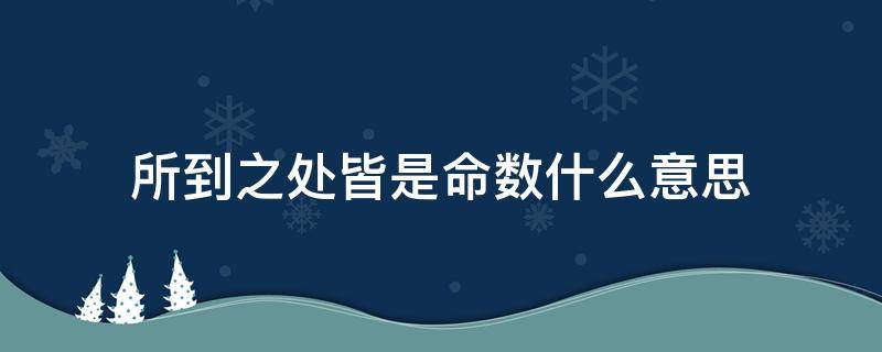 所到之处皆是命数什么意思 爱不逢人所到之处皆是命数什么意思