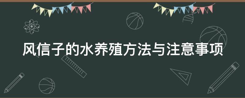 风信子的水养殖方法与注意事项（风信子如何水养）