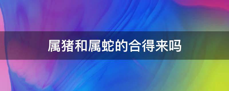 屬豬和屬蛇的合得來嗎（屬豬跟屬蛇的合嗎）