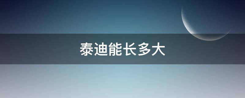 泰迪能長(zhǎng)多大 怎么判斷泰迪能長(zhǎng)多大