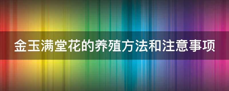 金玉滿堂花的養(yǎng)殖方法和注意事項(xiàng)（金玉滿堂花的養(yǎng)殖方法和注意事項(xiàng)金枝玉葉）