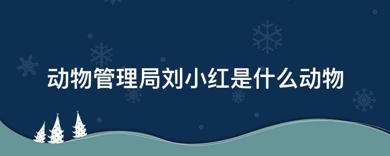 动物管理局刘小红是什么动物 动物管理局刘小红