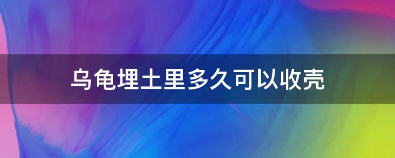 乌龟埋土里多久可以收壳 乌龟埋多久可以自然取壳