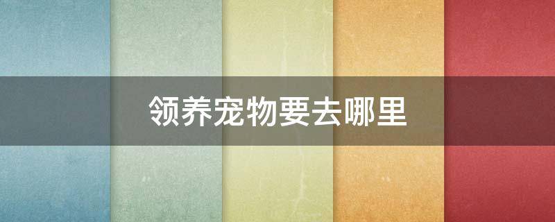 领养宠物要去哪里 领养宠物要去哪里哪个软件