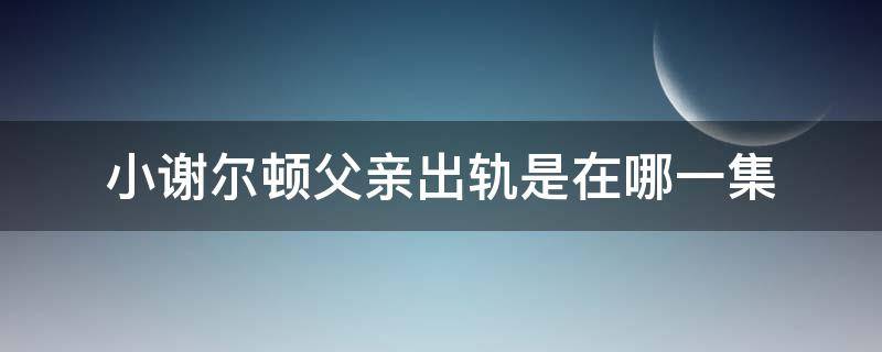 小謝爾頓父親出軌是在哪一集 小謝爾頓爸爸出軌哪一集