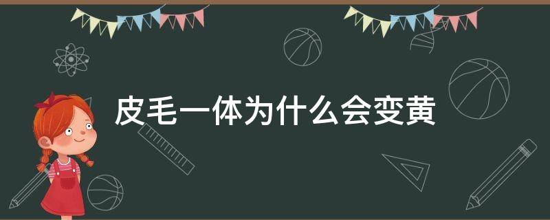 皮毛一体为什么会变黄 皮毛一体毛变黄怎么办