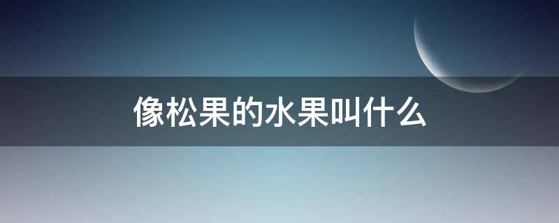 像松果的水果叫什么 有種水果叫松什么