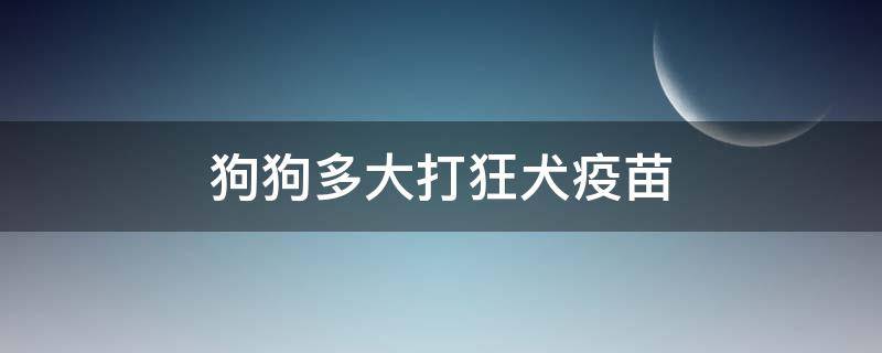 狗狗多大打狂犬疫苗 狗狗多大打狂犬疫苗多少钱一针