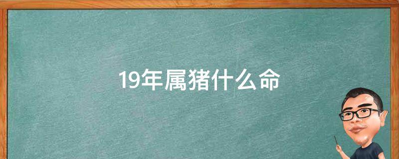 19年属猪什么命（2019年属猪什么命）