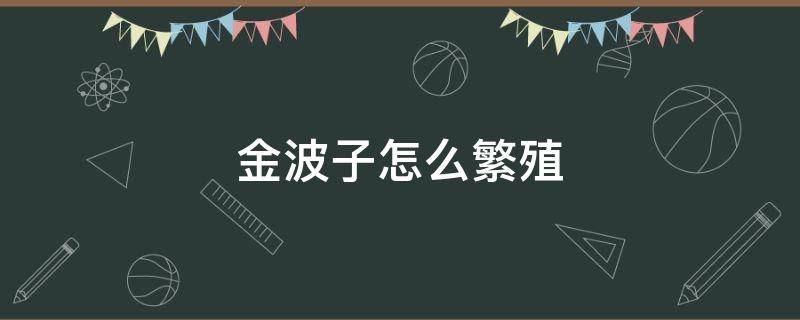 金波子怎么繁殖 金波子繁殖方式