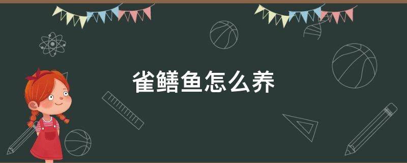 雀鱔魚怎么養(yǎng) 雀鱔魚可以在家養(yǎng)嗎