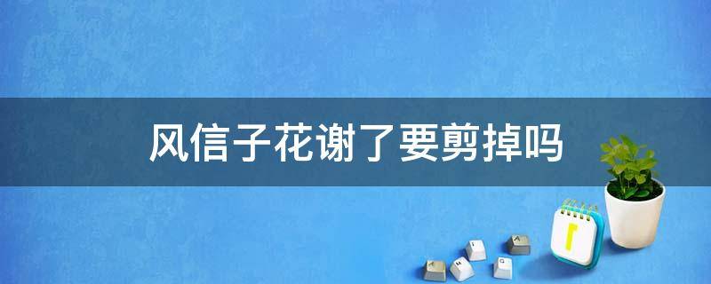 风信子花谢了要剪掉吗（风信子的花谢了要剪掉吗）