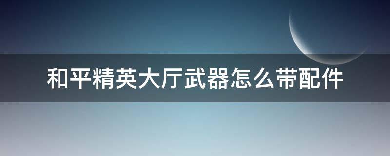 和平精英大厅武器怎么带配件（和平精英大厅人物怎么可以装备武器）