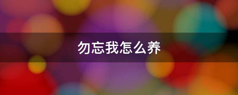 勿忘我怎么養(yǎng) 勿忘我怎么養(yǎng)才不會(huì)枯萎