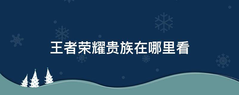 王者荣耀贵族在哪里看（王者荣耀贵族在哪里看到）