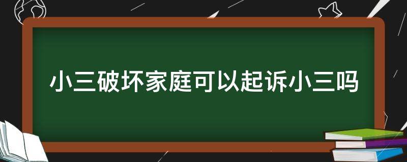 小三破坏家庭可以起诉小三吗（起诉小三破坏家庭,小三要被判刑?）