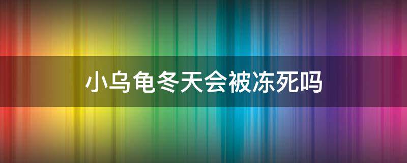 小烏龜冬天會被凍死嗎 小烏龜會凍死嗎?