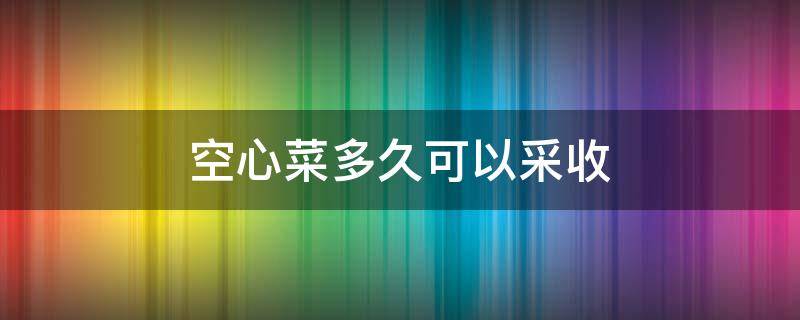 空心菜多久可以采收（空心菜多久可以采摘）