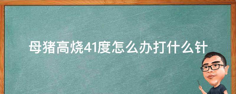 母豬高燒41度怎么辦打什么針（母豬燒41度打退燒針不管用）