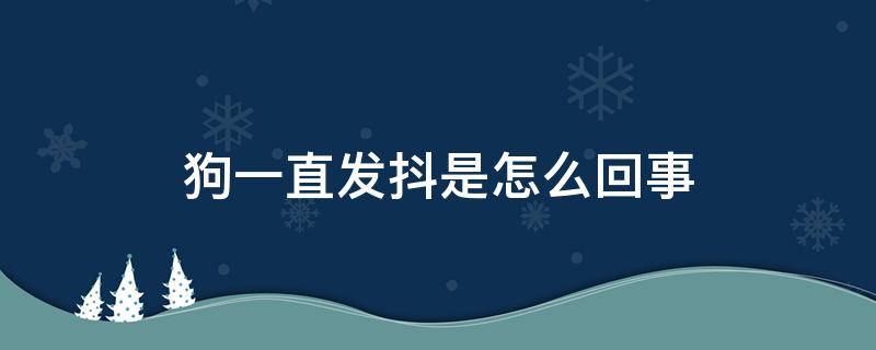 狗一直发抖是怎么回事（狗狗一直发抖是什么情况）