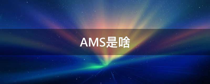 AMS是啥（AMS是啥）