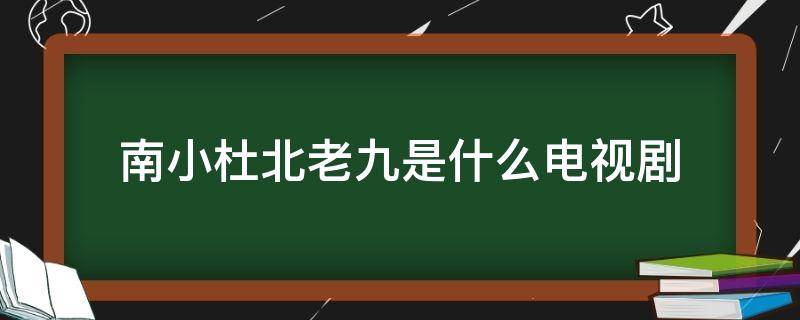 南小杜北老九是什么電視劇 北老九南小杜十三太保無敵手電視劇