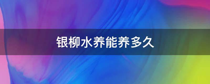 銀柳水養(yǎng)能養(yǎng)多久（銀柳干養(yǎng)水養(yǎng)哪個(gè)長(zhǎng)久）