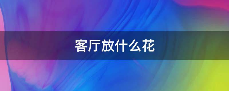 客廳放什么花 客廳放什么花旺財(cái)而且全家身體好