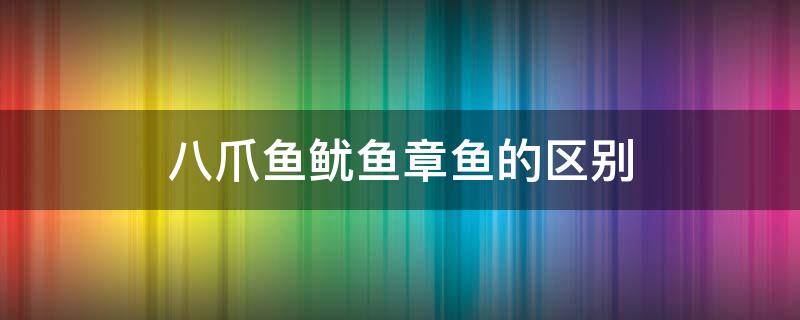 八爪鱼鱿鱼章鱼的区别 墨鱼乌贼八爪鱼鱿鱼章鱼的区别