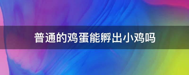 普通的鸡蛋能孵出小鸡吗（普通的鸡蛋能孵出小鸡来吗）