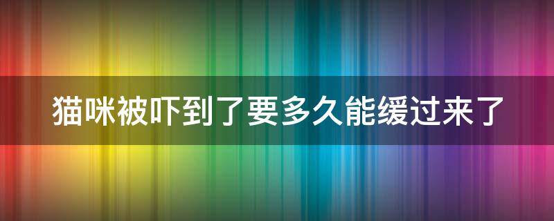 貓咪被嚇到了要多久能緩過來了 貓咪驚嚇后的10大表現(xiàn)