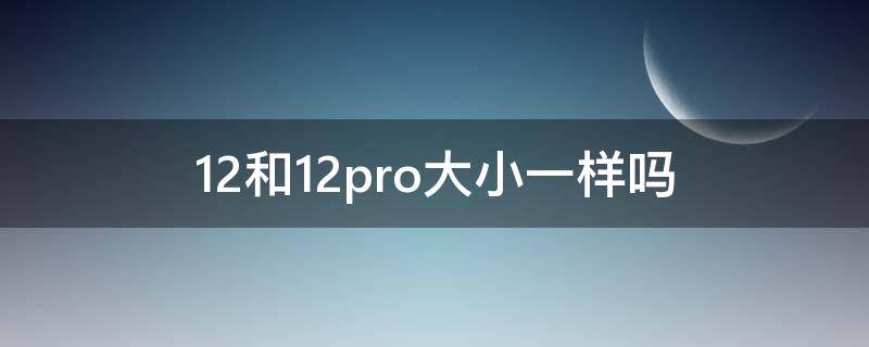 12和12pro大小一样吗（12和12pro大小一样吗手机壳买错了）