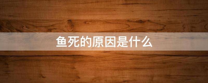 魚死的原因是什么 魚死的原因有哪些