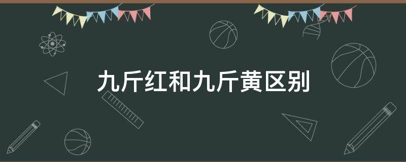 九斤红和九斤黄区别（九斤黄鸡是什么）