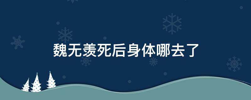 魏無(wú)羨死后身體哪去了（魏無(wú)羨死后隨便在哪）