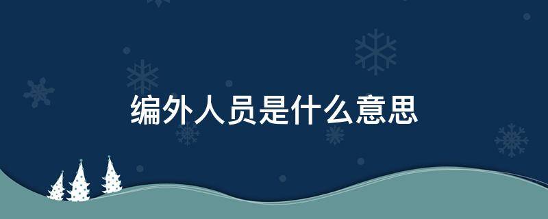 編外人員是什么意思（事業(yè)單位編外人員是什么意思）