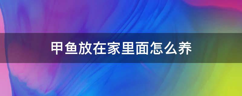 甲鱼放在家里面怎么养（甲鱼在家里怎样养）