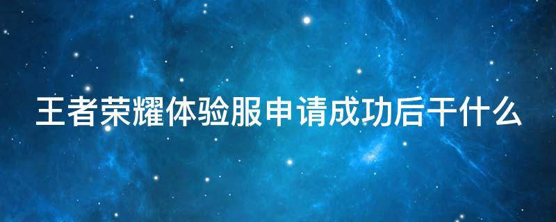 王者榮耀體驗(yàn)服申請(qǐng)成功后干什么 王者榮耀體驗(yàn)服申請(qǐng)成功以后怎么辦