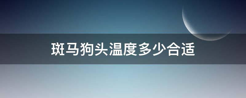 斑馬狗頭溫度多少合適 狗頭斑馬溫度范圍