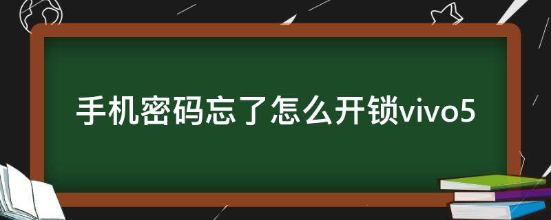 手机密码忘了怎么开锁vivo5（手机密码忘了怎么开锁简单）