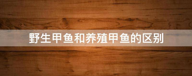 野生甲鱼和养殖甲鱼的区别（野生甲鱼和养殖甲鱼的区别视频）