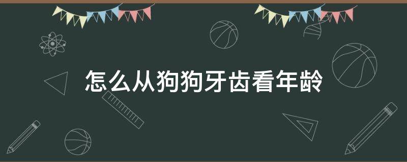 怎么从狗狗牙齿看年龄 怎样从狗狗牙齿看年龄