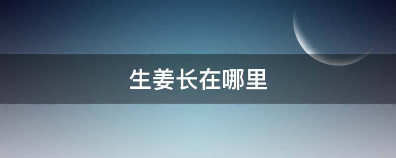 生姜長(zhǎng)在哪里 生姜長(zhǎng)在哪里樹上還是地上