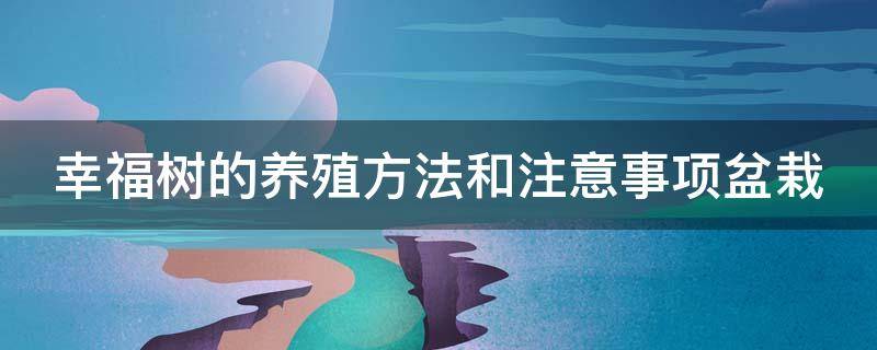 幸福树的养殖方法和注意事项盆栽（榕树的养殖方法和注意事项 盆栽）