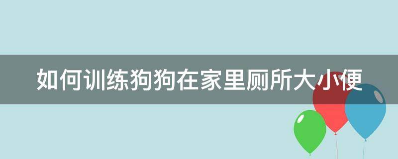 如何训练狗狗在家里厕所大小便（怎么训练狗狗在家大小便）