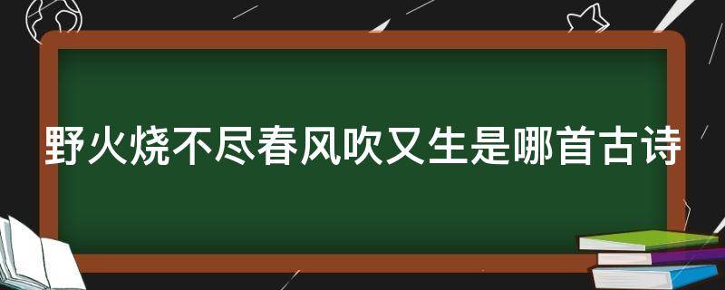 野火燒不盡春風(fēng)吹又生是哪首古詩(shī)（野火燒不盡春風(fēng)吹又生是哪首古詩(shī)的意思）