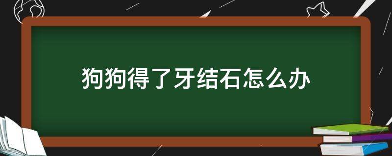 狗狗得了牙結(jié)石怎么辦（狗狗得了牙結(jié)石怎么辦?）