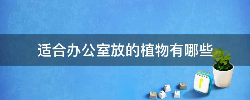 適合辦公室放的植物有哪些 適合放辦公室的植物有哪些?